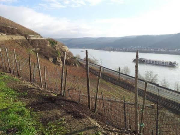 Hotel Ohm Patt Boppard Exterior photo
